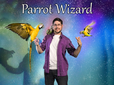 Parrot Wizard