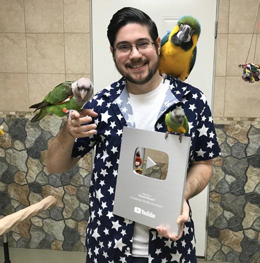 Parrot Wizard Youtube Play Button Award